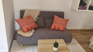 a living room with a couch with pillows and a table at studio des Castors in Condrieu