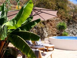 a pool with chairs and an umbrella and a tub at Cortijo el Abejaruco in Almuñécar