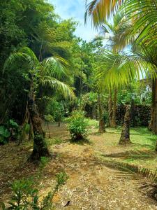 Zahrada ubytování Chalet Little Zion au Domaine de Baradoz