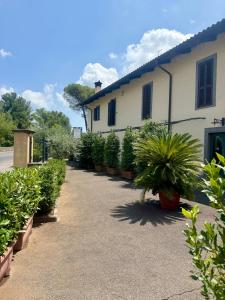 a row of potted plants in front of a building at Il Bersagliere Guest House in Colonna