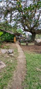 Un camino en un parque con un árbol y un banco. en Camping Saco do Céu, en Saco do Ceu 17 fotos más