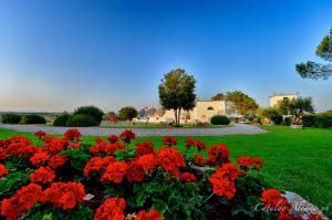 Ein paar rote Blumen im Garten. in der Unterkunft Masseria Luco in Martina Franca