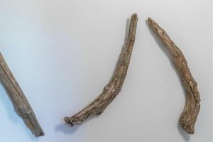 Fotografie z fotogalerie ubytování Hafenhaus Bootsquartier v destinaci Waren