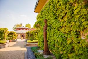 Zahrada ubytování Corner Motel