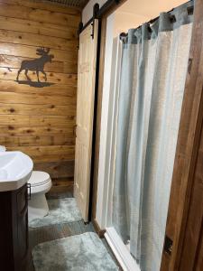 une salle de bain avec toilettes et rideau de douche dans l'établissement The Country Cottage by On Cue Properties, à Ghent
