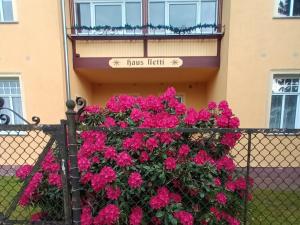 a fence with pink flowers in front of a house at KOS - Haus Netti in Koserow