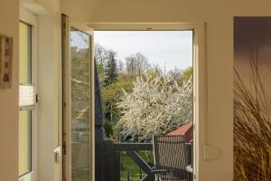 Zahrada ubytování Hafenhaus Leuchtturm