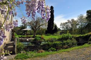 un giardino con fiori viola in primo piano di Les Chambres du Moulin a Susmiou