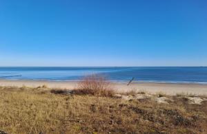 a sandy beach with the ocean in the background at Moderne Ferienwohnung "Parkblick" im Ostseebad Ückeritz in Ueckeritz