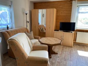 een woonkamer met een bank en een tv bij Ferienwohnung 14 in Steinkirchen