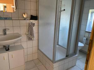 een badkamer met douche en wastafel bij Ferienwohnung 14 in Steinkirchen