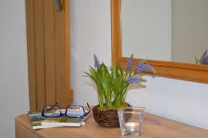 Fotografie z fotogalerie ubytování Ferienresidenz Chiemseestrand - Apartment 24 v destinaci Chieming + 15 fotografií