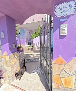 Fotografie z fotogalerie ubytování Casa Purple v destinaci Cala Gonone