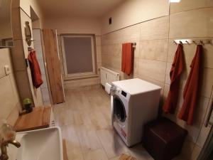 ウッカーミュンデにあるFerienwohnung "Vorpiek"の洗濯機と洗面台を備えたバスルーム