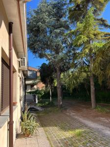 a tree sitting next to a house with a sidewalk at La Casa dei Pini in Porto San Giorgio