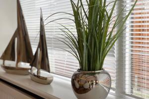 un vase avec des plantes assises sur un rebord de fenêtre dans l'établissement Ferienwohnung Goede Tiid, à Tinnum