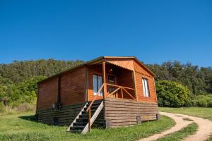 a small wooden cabin in a grassy field at Viña Edén in El Eden