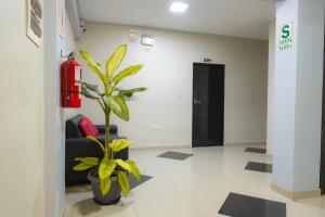 Fotografie z fotogalerie ubytování Hotel Bella Verde v destinaci Tingo María