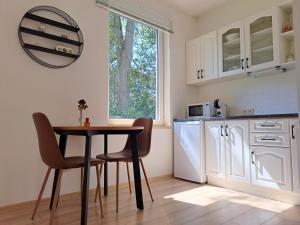 Η κουζίνα ή μικρή κουζίνα στο Cozy Studio - 5 min to Lake & City