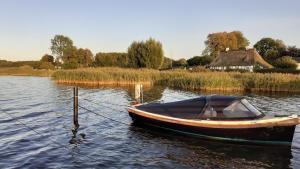 Příroda nedaleko prázdninového domu