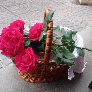 Φωτογραφία από το άλμπουμ του Guest Art House Aurora σε Pissignano