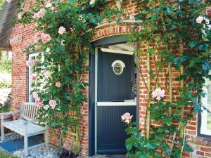 En have udenfor Pückdeel von Appartements & Mehr