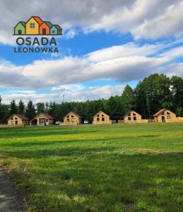 LeonówOsada Leonówka的远处一排房子的田野