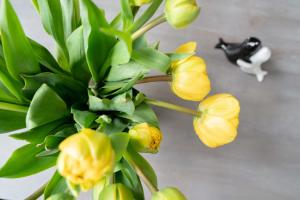 a bouquet of yellow flowers in a vase at MaJa in Norderney