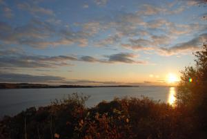 Příroda nedaleko vily