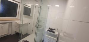 een badkamer met een glazen douche en een wastafel bij FeWo Weishaupt in Tettnang