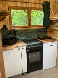 a kitchen with a stove and a sink at INTO THE WILD - Nos 5 logements "Atypiques" in Belin-Beliet