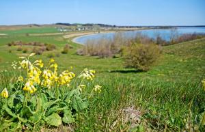 Příroda nedaleko vily