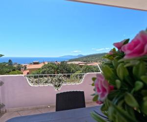Příroda nedaleko apartmánu + 52 fotografií