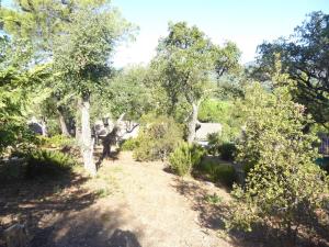 una strada sterrata con alberi e una casa sullo sfondo di Ferienhaus mit Blick auf Grimaud (Fle) a Cogolin