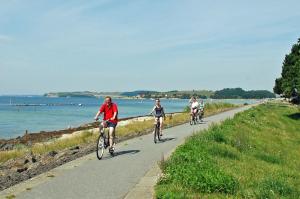 a group of people riding bikes on a path by the beach at schöne Ferienwohnungen an der Granitz in Blieschow