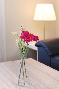 a vase with a red flower sitting on a table at Ferienhaus Relax - Uns Huus an t Küst in Bensersiel