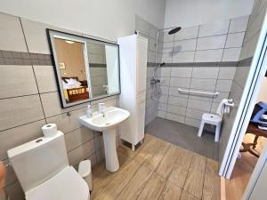 a bathroom with a sink and a toilet and a mirror at Château Féger 5 suites in Camblanes-et-Meynac +9 photos