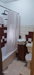 un bagno con lavandino e WC di Irina Blessed Homes Bonanjo a Douala Altre 37 foto
