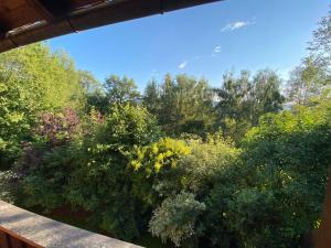 een balkon met uitzicht op een tuin bij Ferienwohnung Jansen in Arnbruck +3 foto's