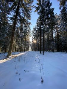 een met sneeuw bedekt veld met bomen en de zon op de achtergrond bij Ferienwohnung Jansen in Arnbruck