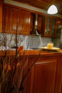 a kitchen with wooden cabinets and a counter top at Fairy Dreams in Konitsa