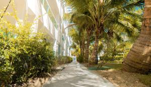 a sidewalk with palm trees next to a building at 3 Min Walk to Bibijagua Beach - Spacious 2BR in Punta Cana