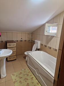 a bathroom with a tub and a toilet and a sink at Gruia Ele Apartament in Cluj-Napoca
