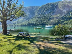 Príroda v okolí apartmánu