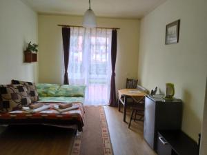 a living room with a couch and a table at Pokoje gościnne Jacek in Polańczyk