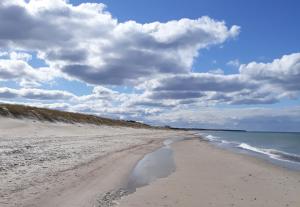 Природа в окрестностях апартаментов/квартиры