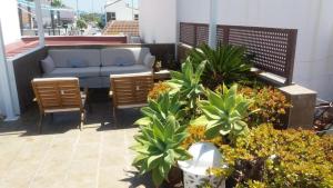 eine Terrasse mit einem Sofa, Stühlen und Pflanzen in der Unterkunft Casa Marinera en El Rompido in El Rompido