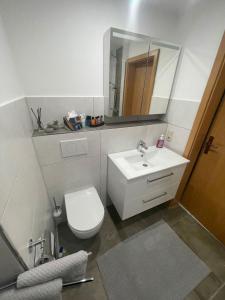 a bathroom with a toilet and a sink and a mirror at Ferienwohnung Grebe in Bad Wildungen
