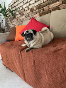 Imagine din galeria proprietății Hostel e Pousada Sr Borba în Recife