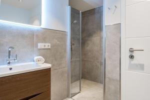 a bathroom with a shower and a sink at Die Zimmerei 1, zentrale Lage, Erdgeschoss mit Terrasse, Hund willkommen! in Greetsiel